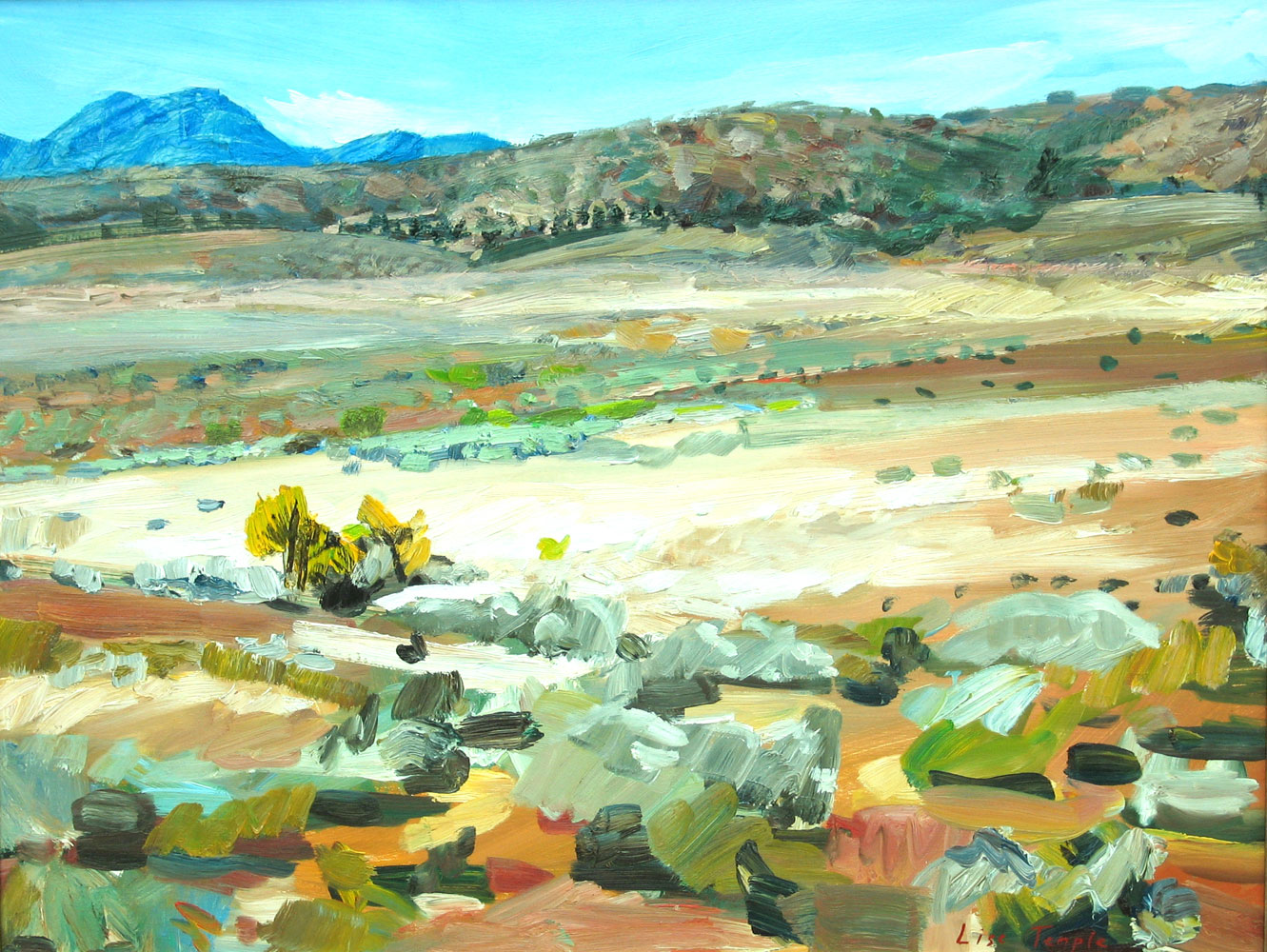 Landscape painting of Flinders Ranges by Lise Temple
