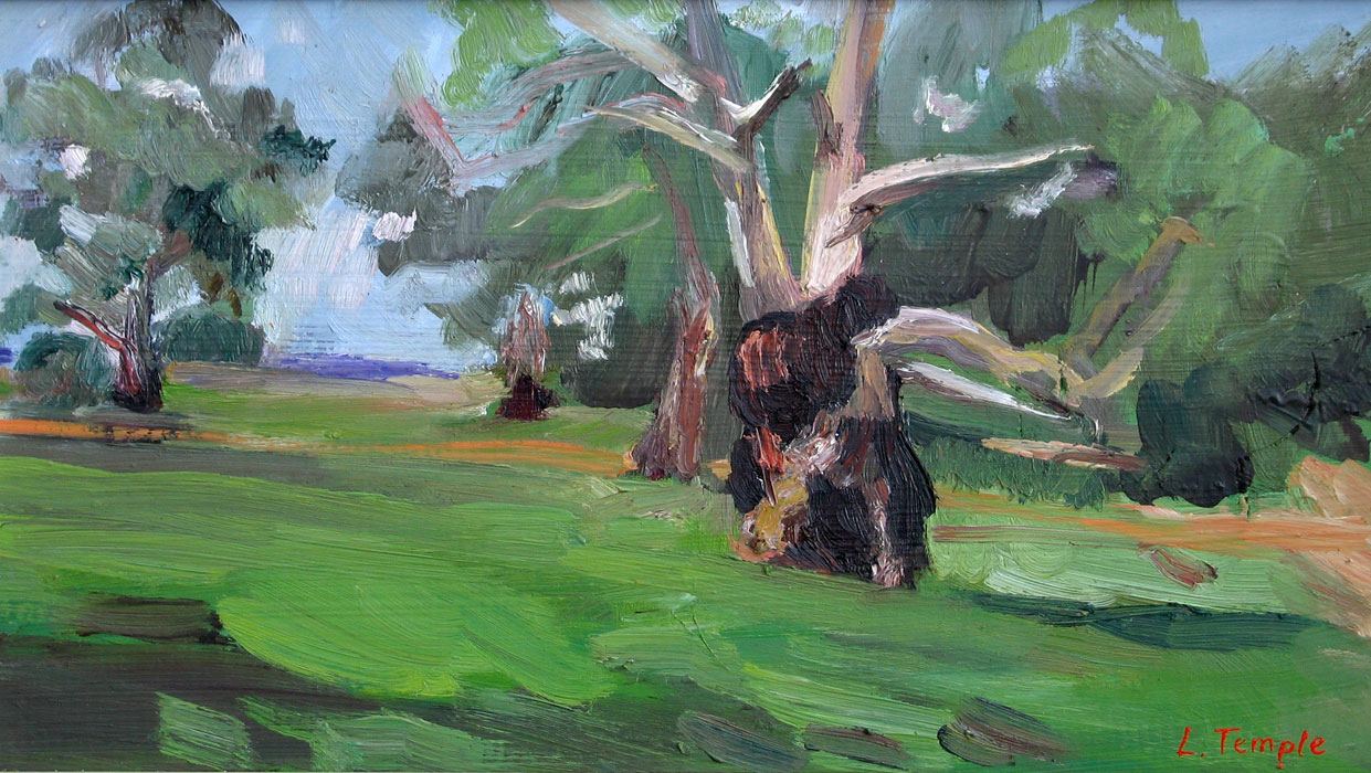 Landscape painting of Burra Gorge eucalypts by Lise Temple