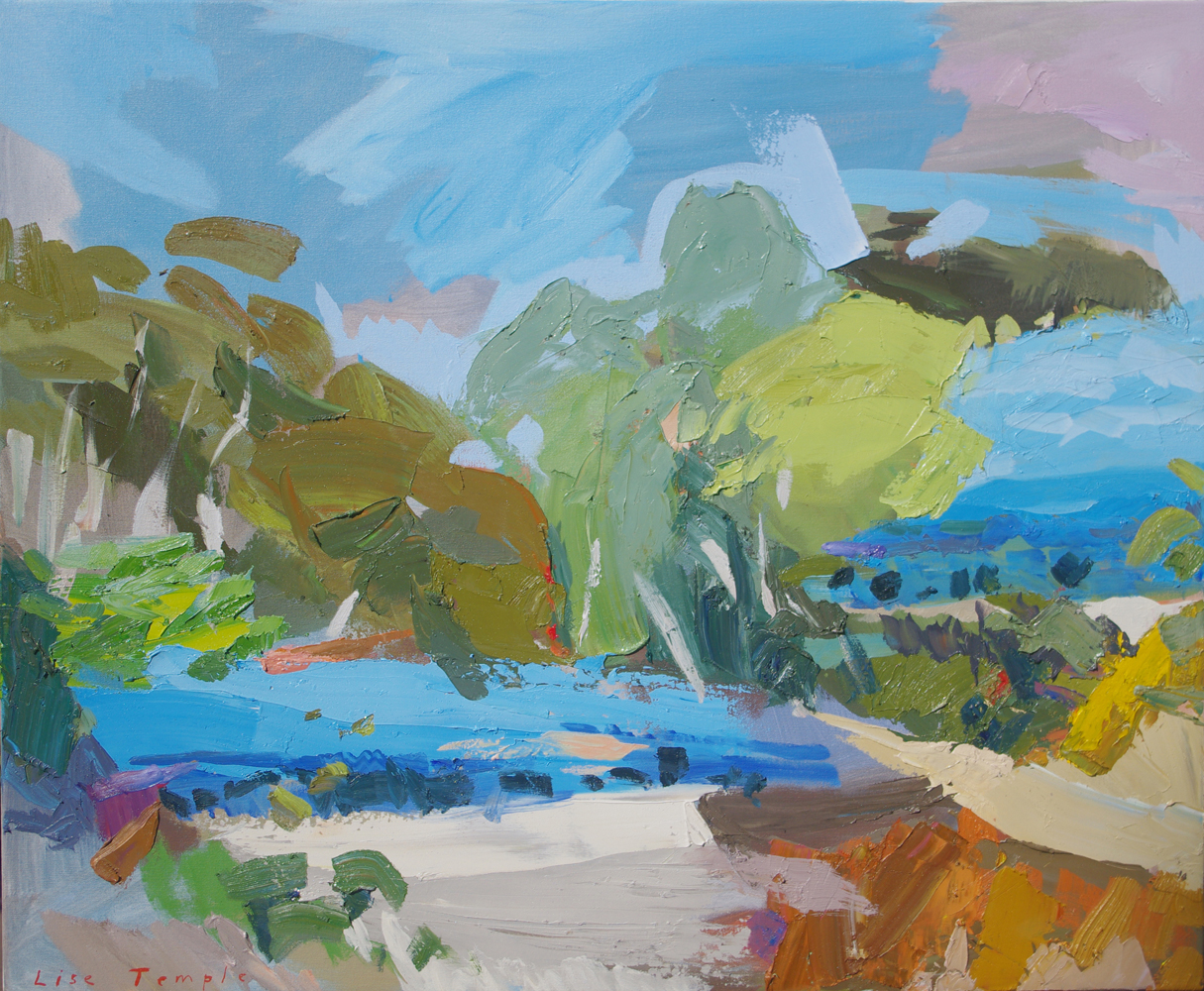 Abstract Landscape oil painting of trees, valleys in South Australia by Lise Temple