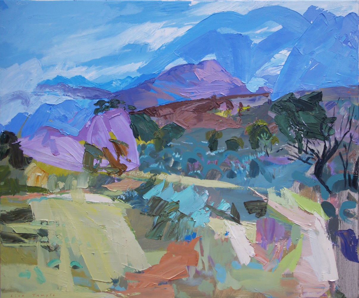 Abstract landscape Painting of Flinders Ranges