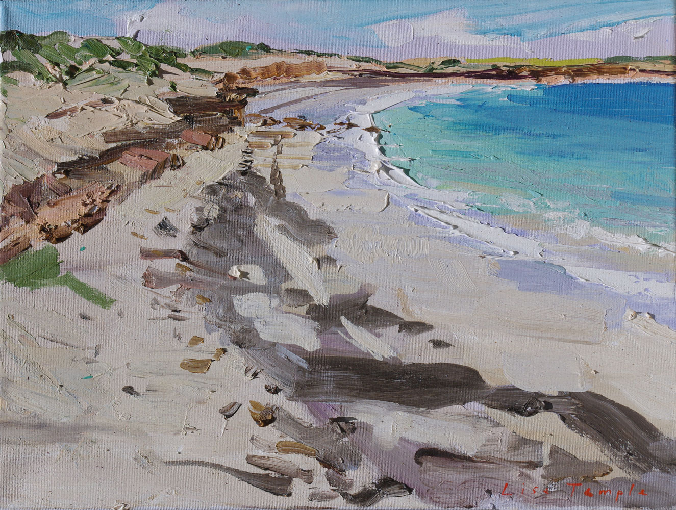 Landscape painting of coastline by Lise Temple