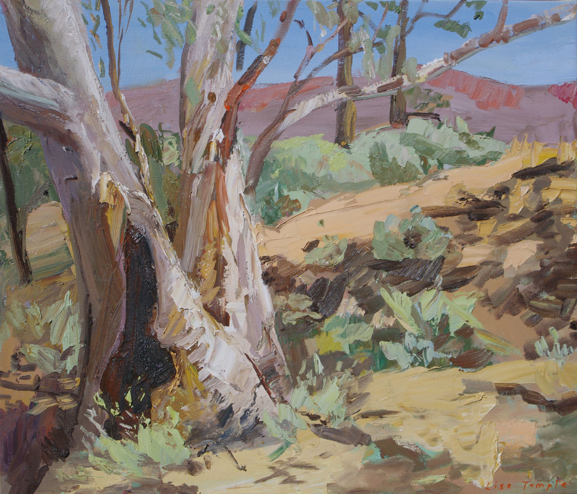 landscape oil painting of Flinders Ranges by Lise Temple