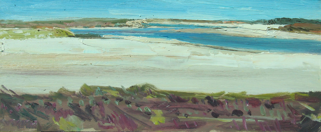 Landscape painting of the Coorong by Lise Temple