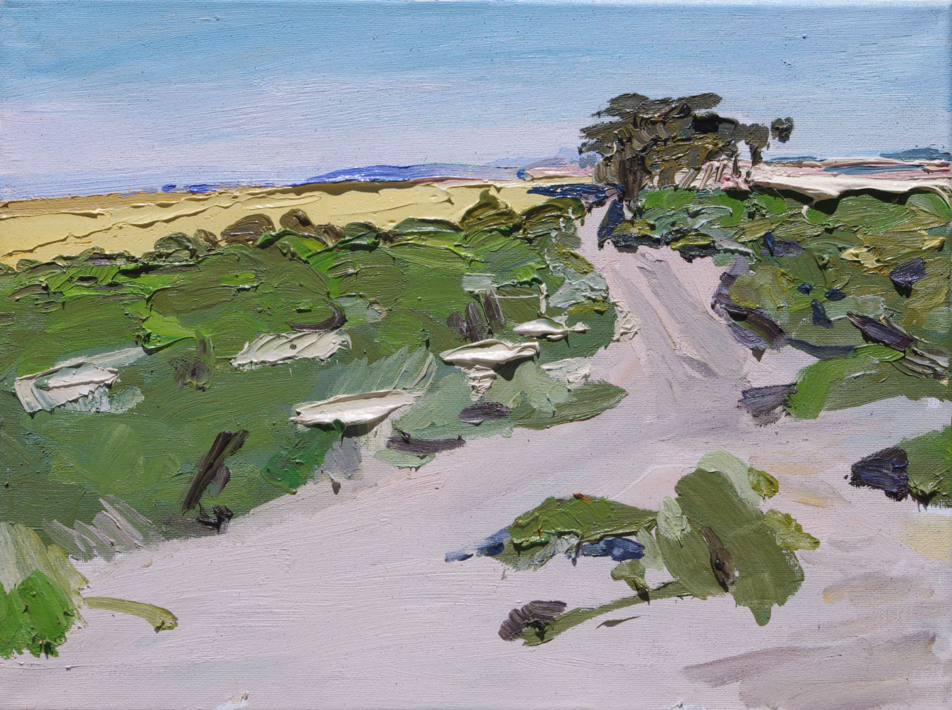 Landscape painting South Australia by Lise Temple