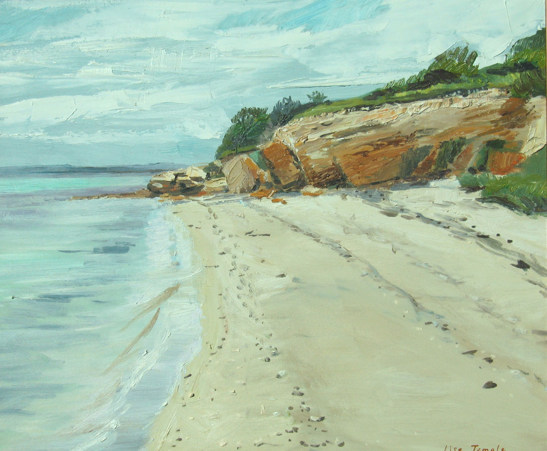 Landscape painting of Kangaroo Island by Lise Temple