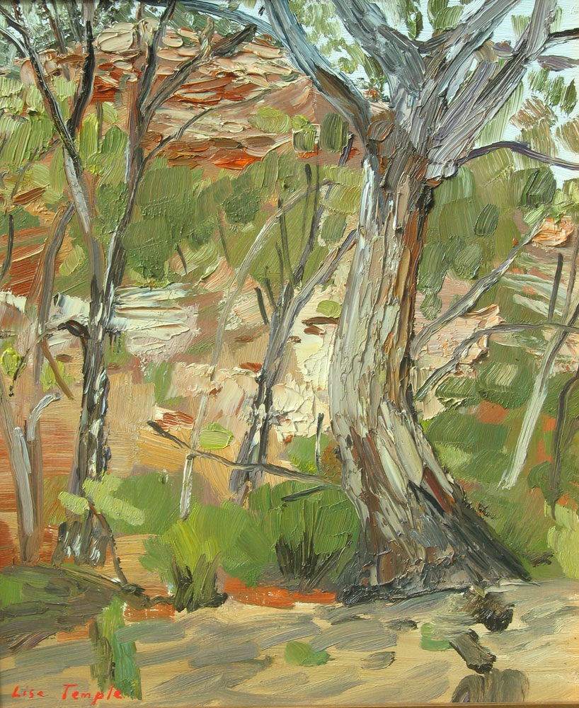landscape oil painting of Flinders Ranges by Lise Temple