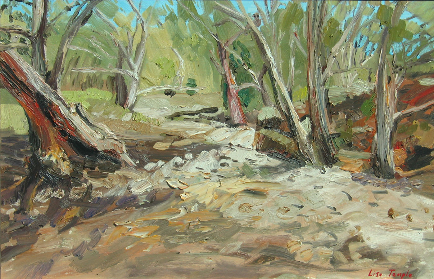 landscape oil painting of Flinders Ranges by Lise Temple