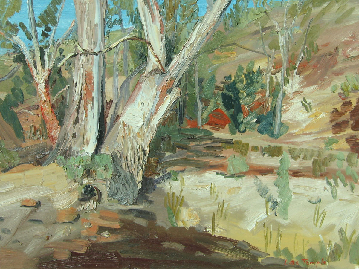 Landscape painting of Flinders Ranges by Lise Temple