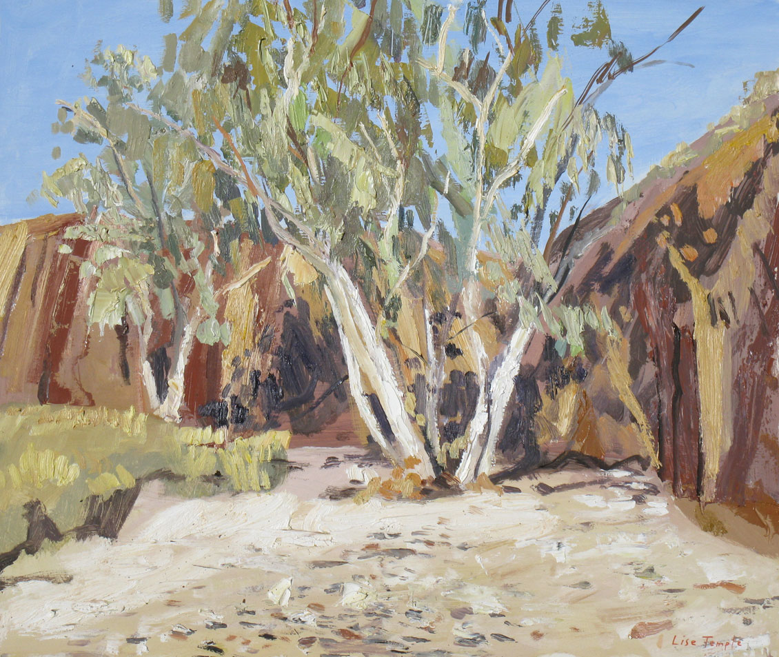 landscape oil painting of West Macdonell Ranges outback by Lise Temple