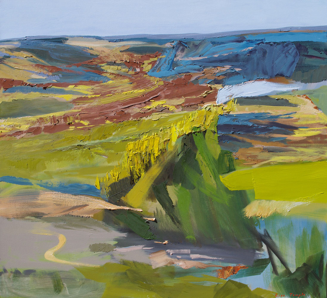 Abstract Landscape oil painting of Kangaroo Island by Lise Temple