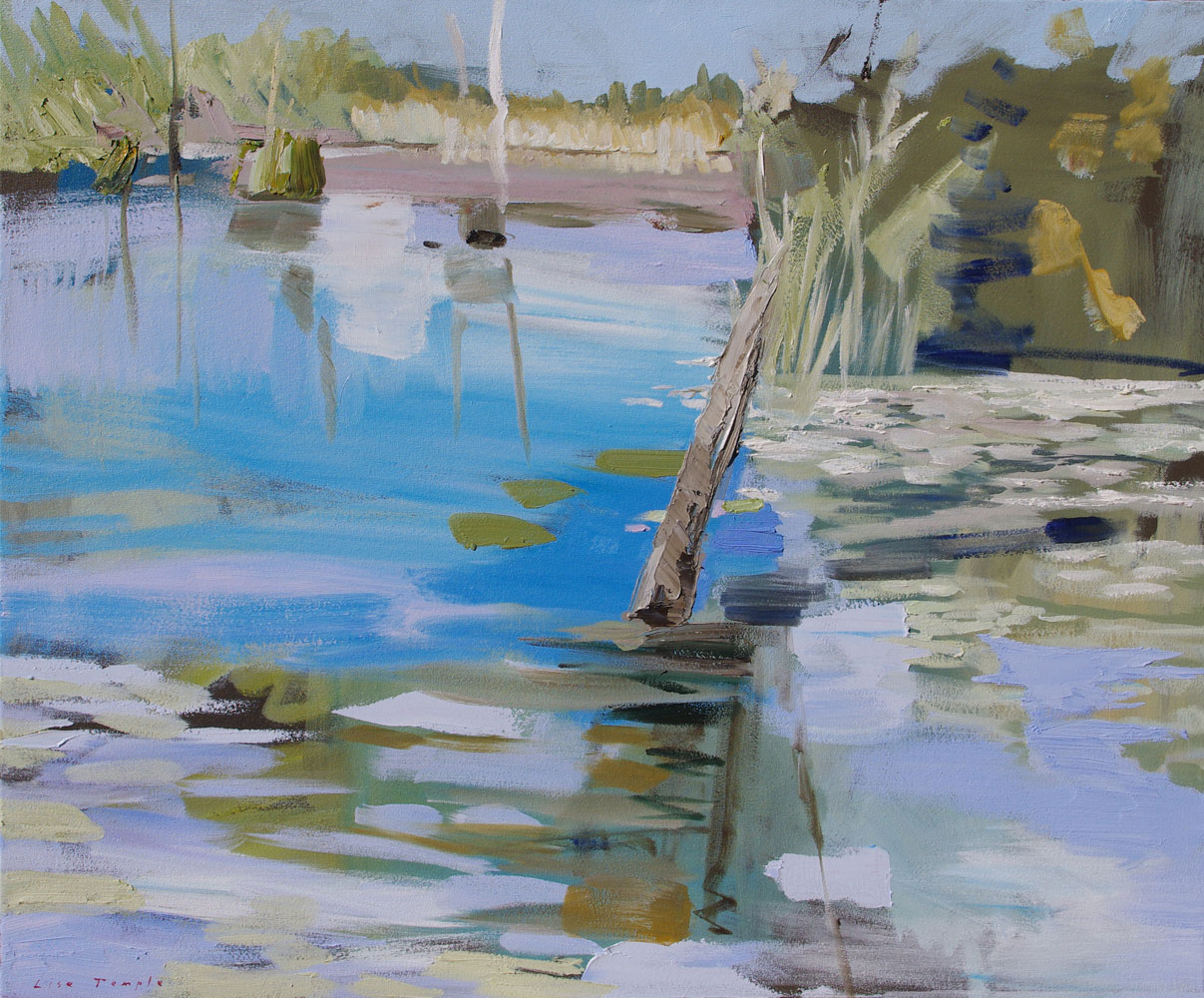 Abstract Landscape oil painting of wetland by Lise Temple