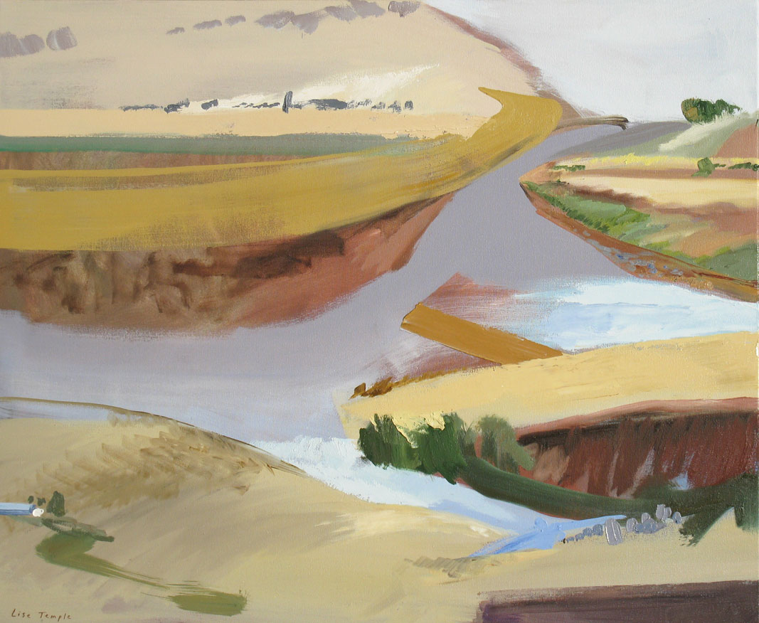 Abstract Landscape oil painting of South Australia by Lise Temple