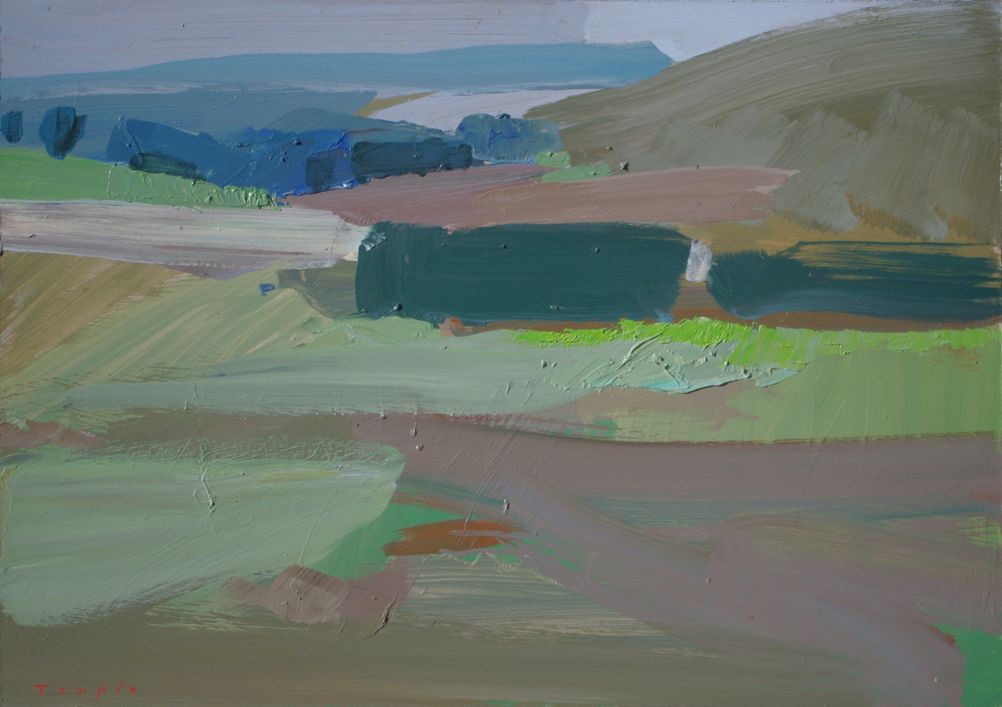 gestural painting of fields