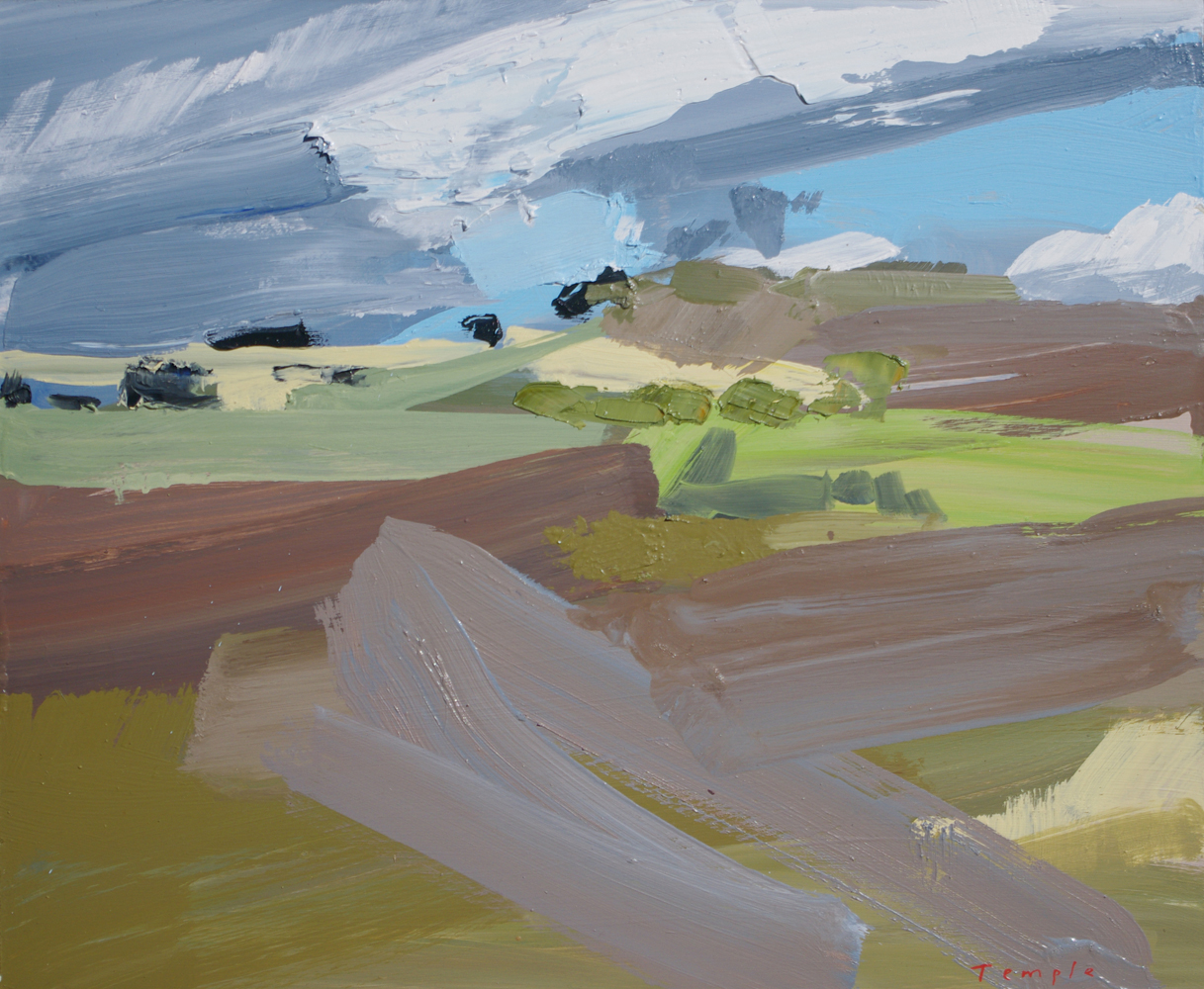 gestural painting of fields