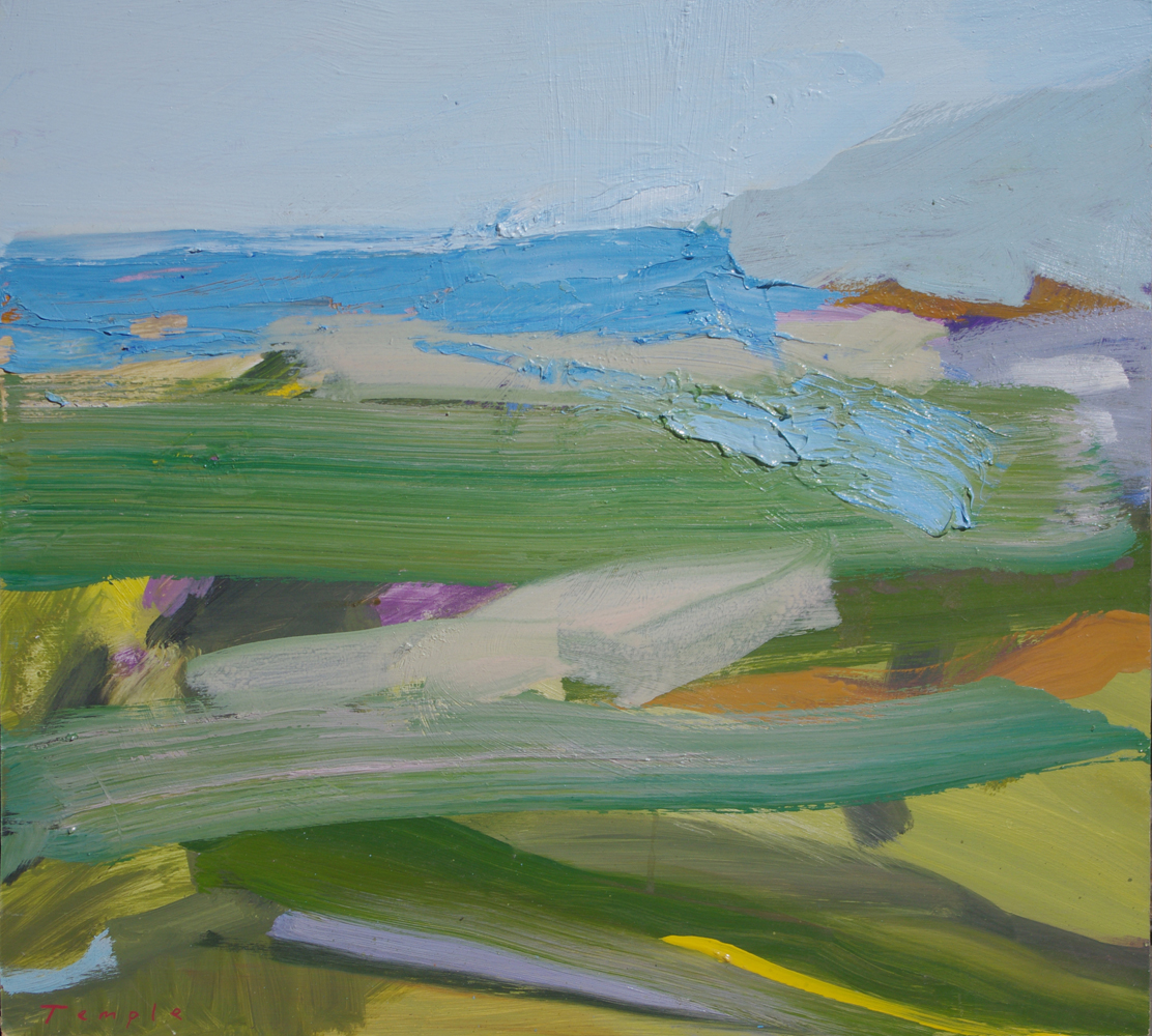 gestural painting of fields