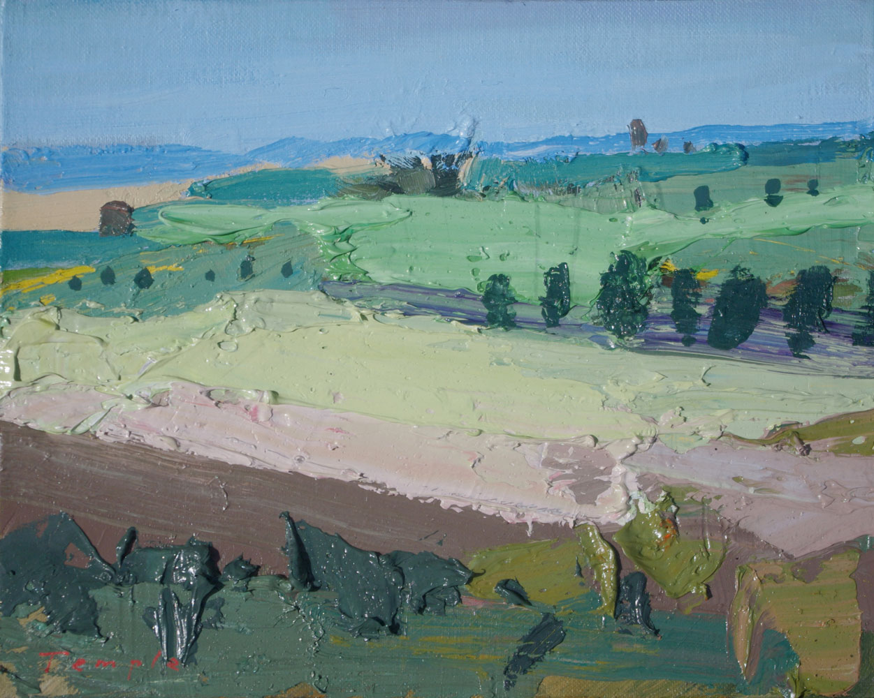 Contemporary abstract landscapes by South Australian artist Lise Temple, modern oil painting, impasto texture, colourful