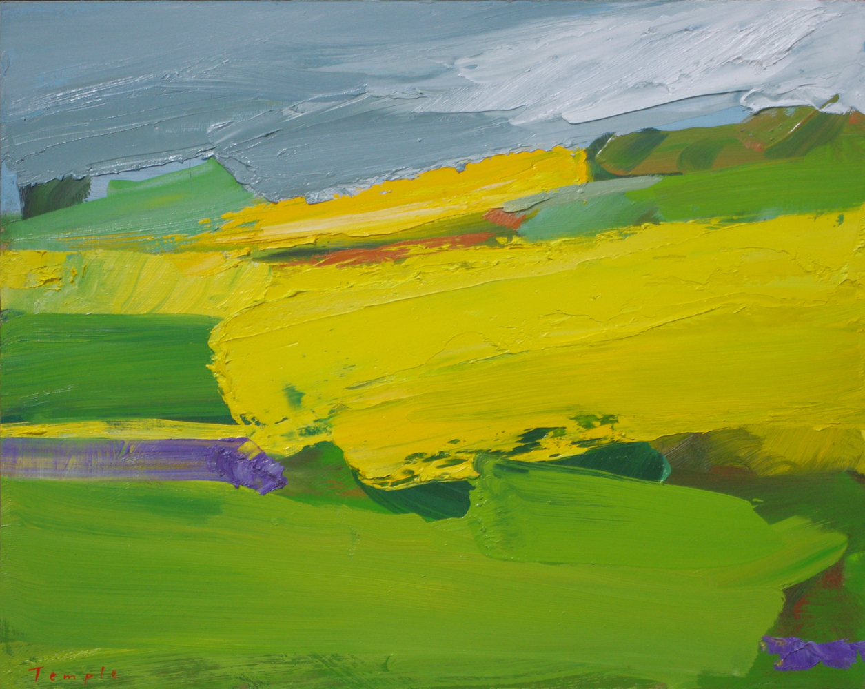 Contemporary abstract landscapes by South Australian artist Lise Temple, modern oil painting, impasto texture, colourful