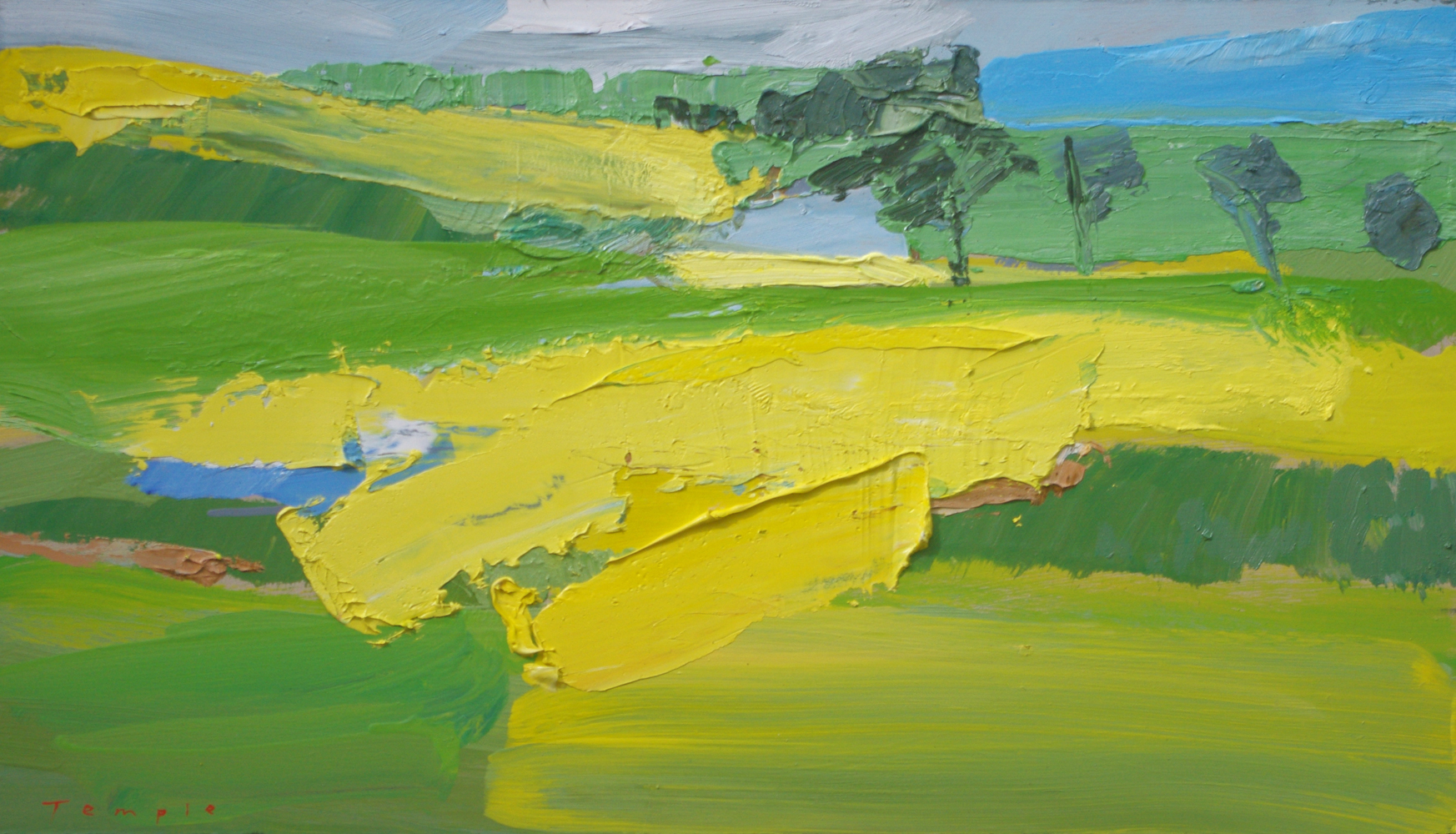 Contemporary abstract landscapes by South Australian artist Lise Temple, modern oil painting, impasto texture, colourful