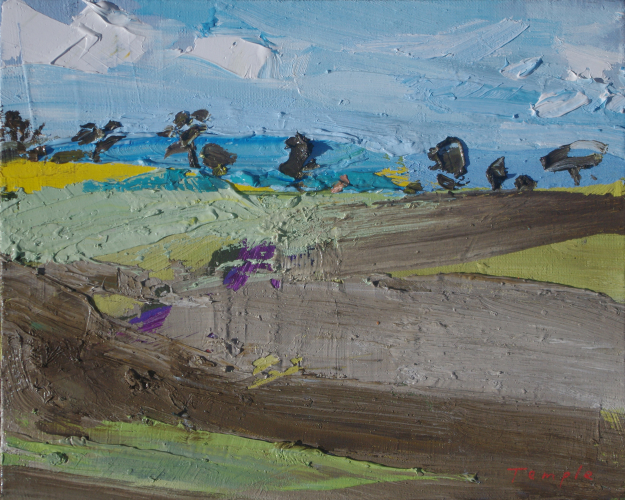 Contemporary abstract landscapes by South Australian artist Lise Temple, modern oil painting, impasto texture, colourful